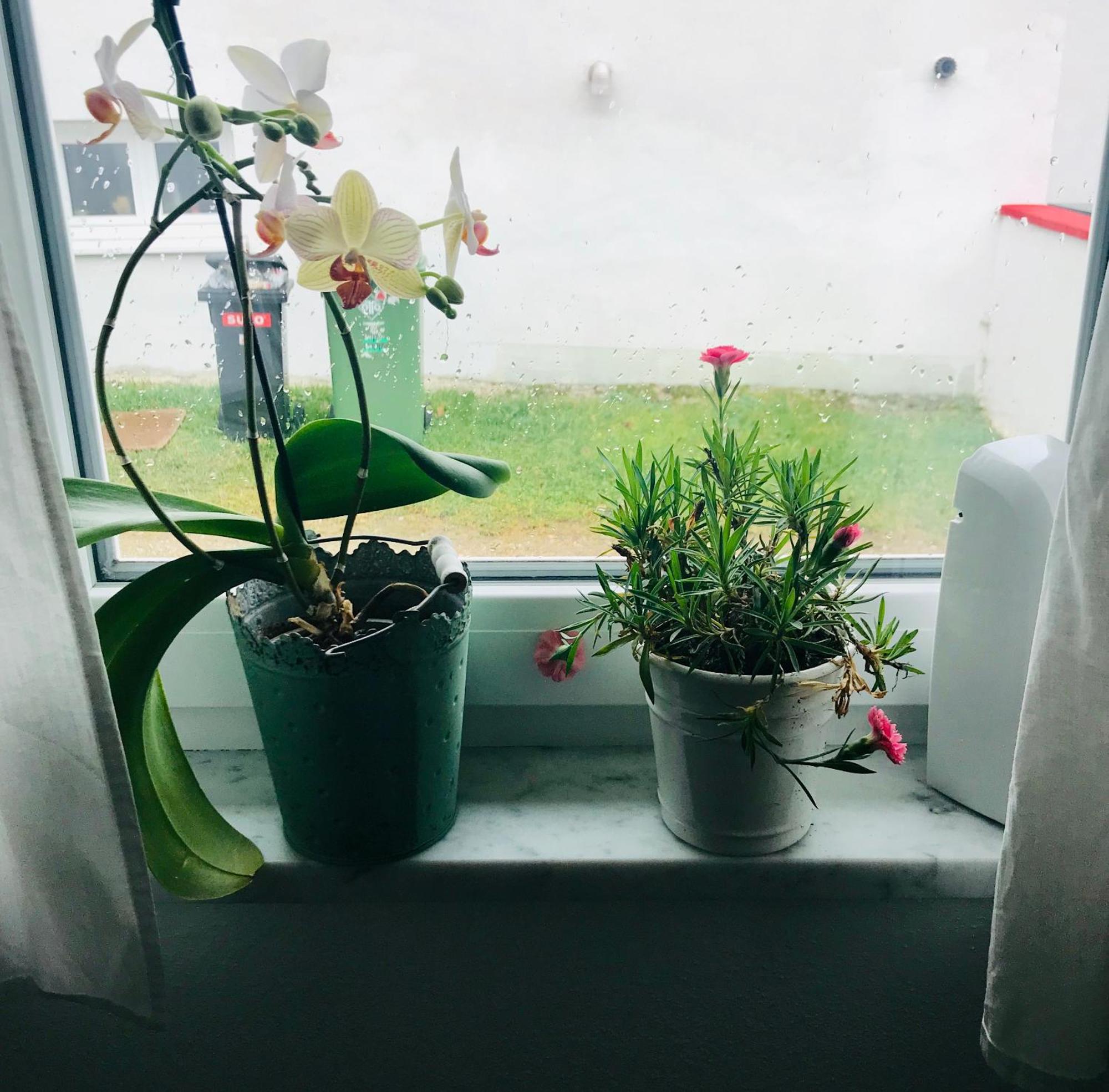 La Toskana Apartment Ihr Rueckzugsort Am Regen Zeitlarn Экстерьер фото